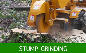 stump_grinding-300x186